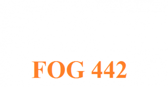 FOG 442 lifts spare parts